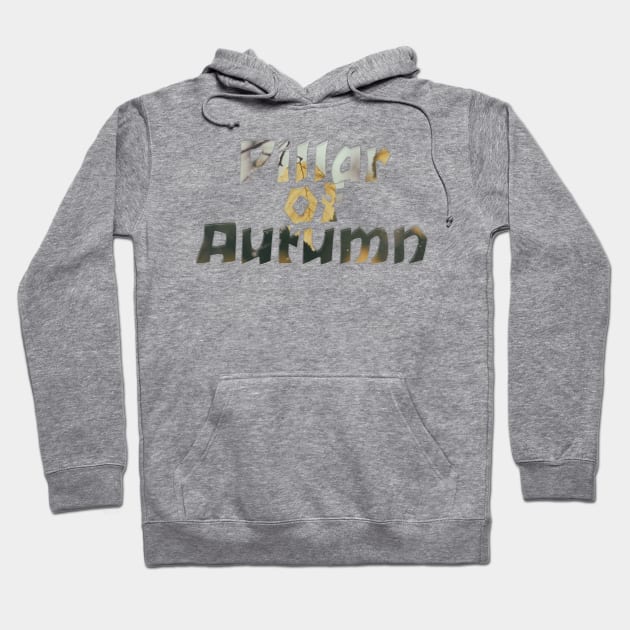 Pillar of Autumn Hoodie by afternoontees
